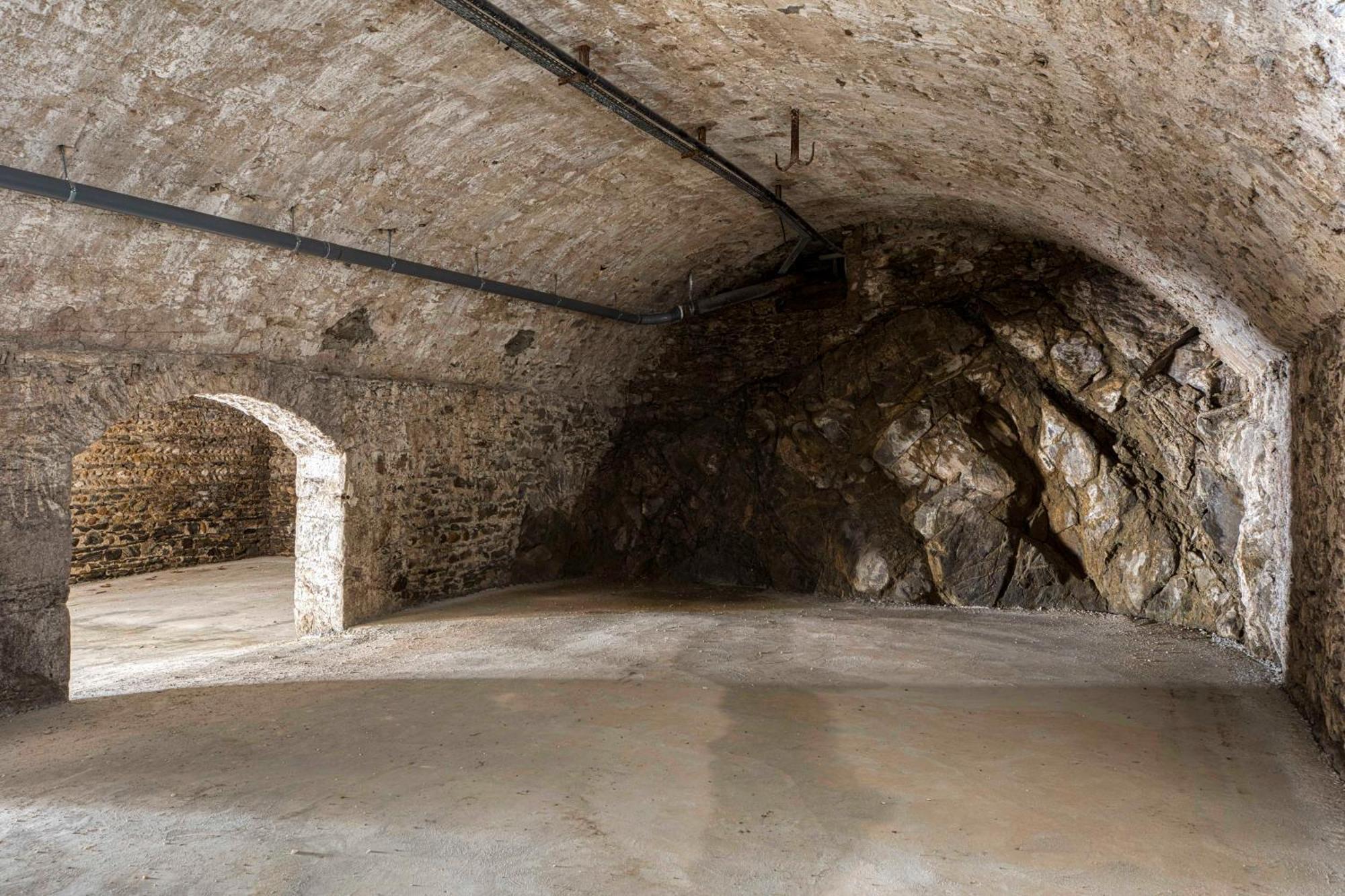 1 - Grand Appartement Spacieux Dans Un Chateau Du 17Eme Siecle, A 15Min De Lyon Vourles 外观 照片