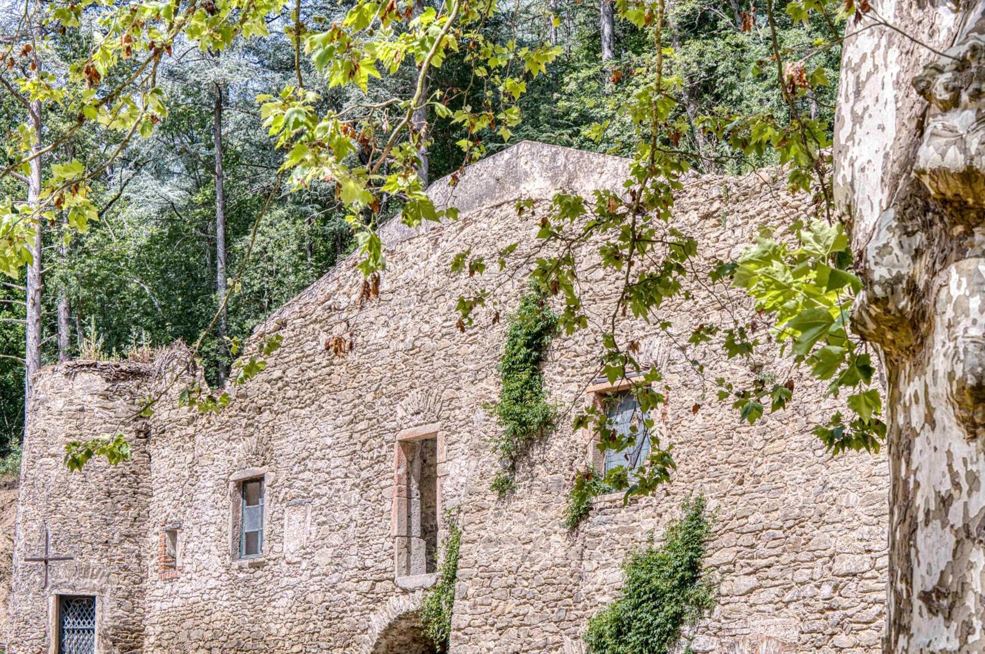 1 - Grand Appartement Spacieux Dans Un Chateau Du 17Eme Siecle, A 15Min De Lyon Vourles 外观 照片
