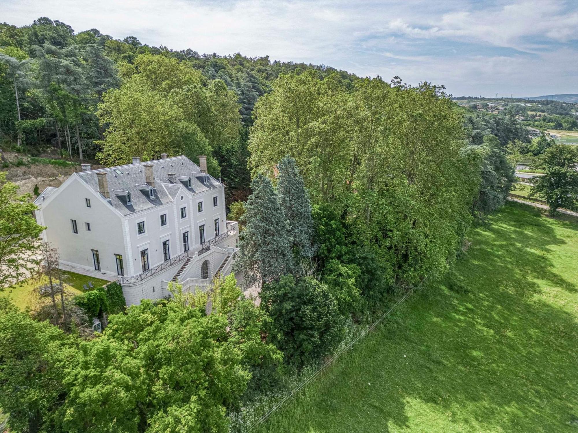 1 - Grand Appartement Spacieux Dans Un Chateau Du 17Eme Siecle, A 15Min De Lyon Vourles 外观 照片